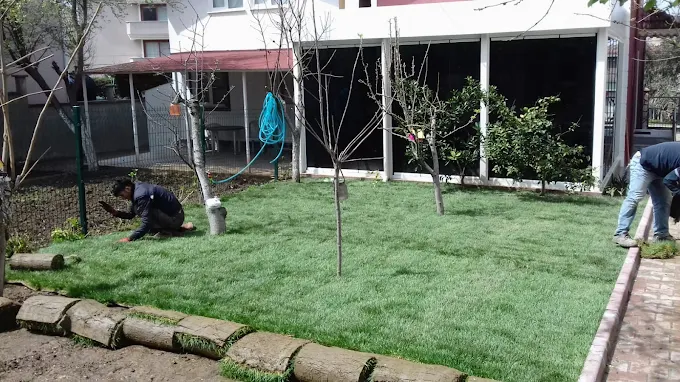 Rulo Çim ve Bahçe Düzenleme Uygulaması